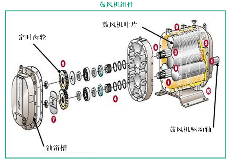 鼓風(fēng)機結(jié)構(gòu)圖